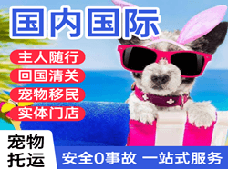 长春空运地址国际宠物托运 【国